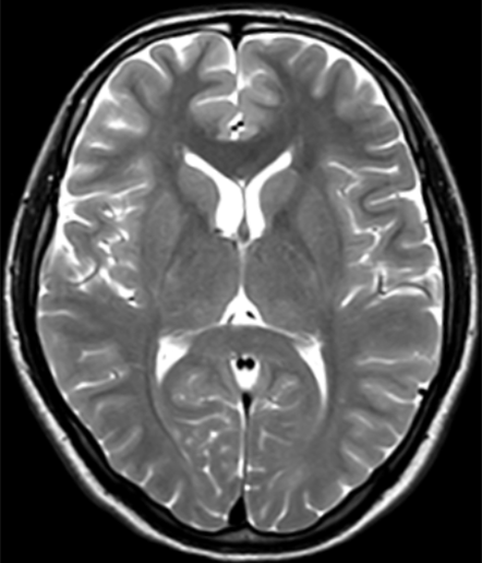 1524110461694365.png 1524110461694365.png