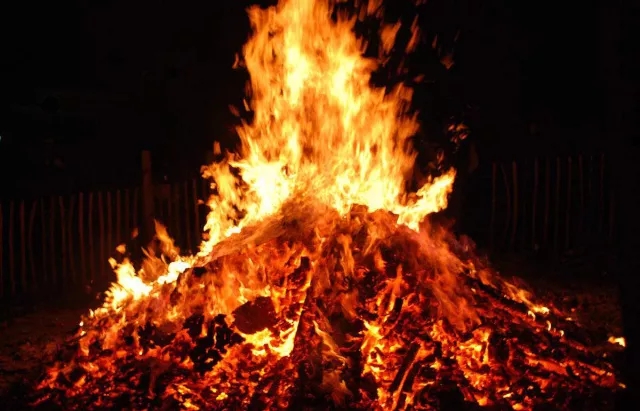 1548220856555637.jpg 1548220856555637.jpg