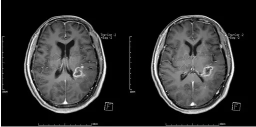 1548317559413359.jpg 1548317559413359.jpg