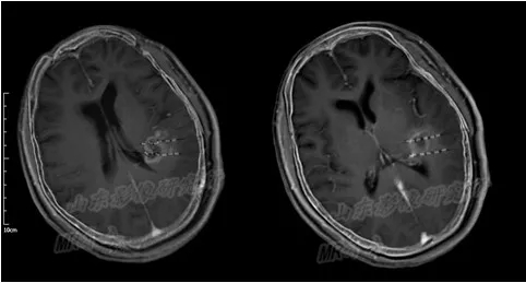 1548317847850056.jpg 1548317847850056.jpg