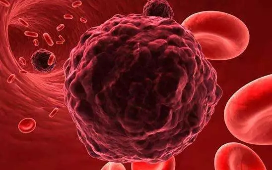 1548382516504724.jpg 1548382516504724.jpg