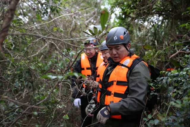 1548399535963814.jpg 1548399535963814.jpg