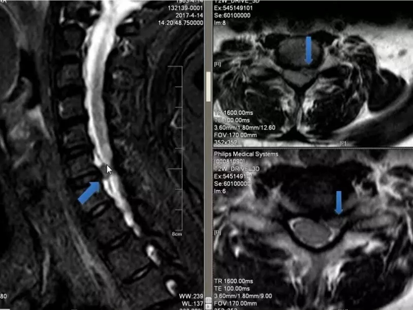 1550475964903433.jpg 1550475964903433.jpg