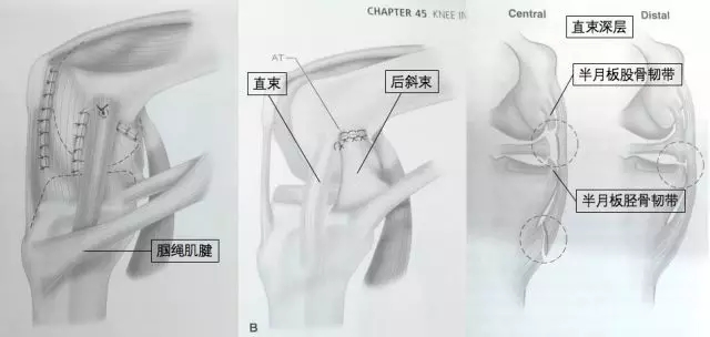 1550543404186443.jpg 1550543404186443.jpg