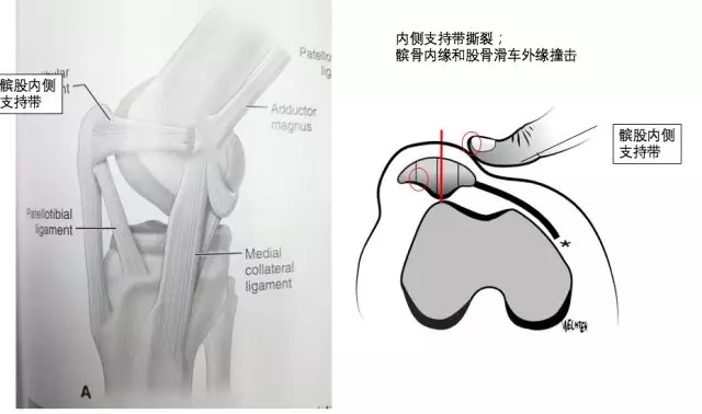 1550543459481413.jpg 1550543459481413.jpg