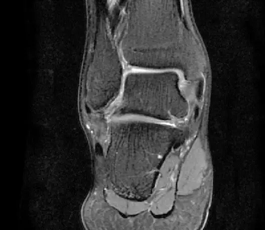 1550557859188429.jpg 1550557859188429.jpg