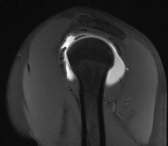 1550559037576579.jpg 1550559037576579.jpg