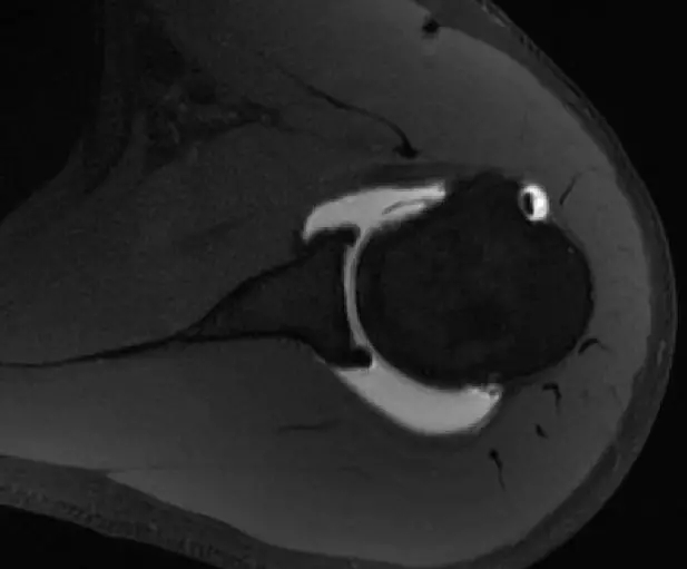 1550559054329974.jpg 1550559054329974.jpg