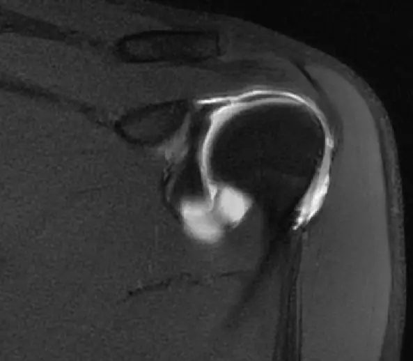 1550559071859733.jpg 1550559071859733.jpg