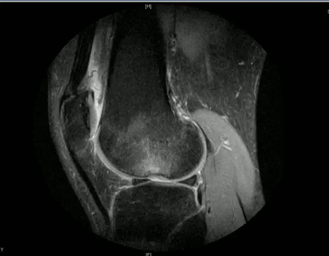 1550564234721723.jpg 640.webp (29).jpg