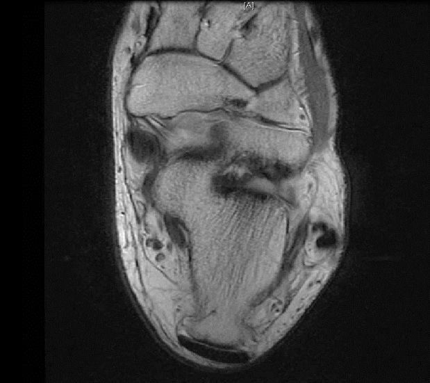 1550626939278890.jpg 1550626939278890.jpg