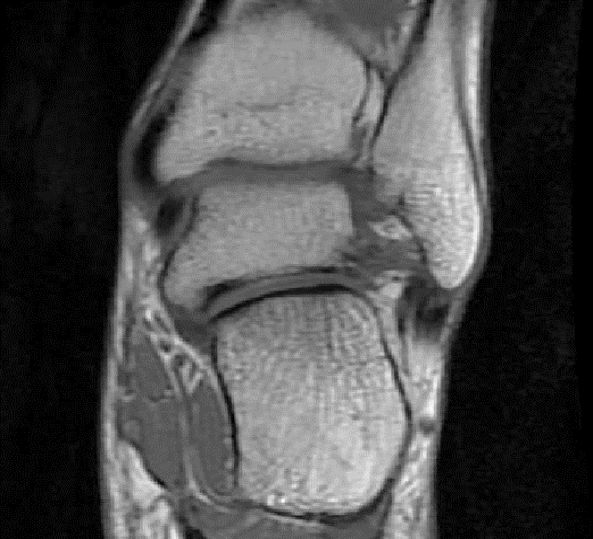 1550626960616686.jpg 1550626960616686.jpg