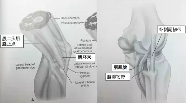 1550648780247216.jpg 1550648780247216.jpg