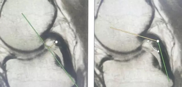 1550648869426639.jpg 640.webp (21).jpg