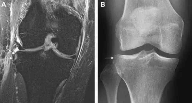 1550648887318727.jpg 640.webp (22).jpg