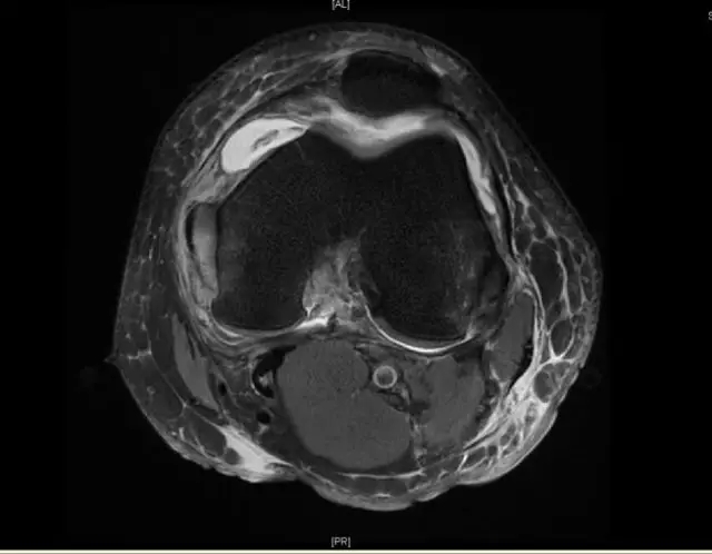 1551059665645225.jpg 1551059665645225.jpg