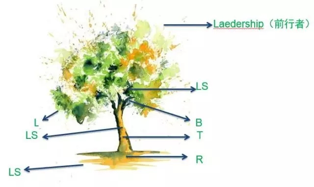 1551075846121718.jpg 1551075846121718.jpg